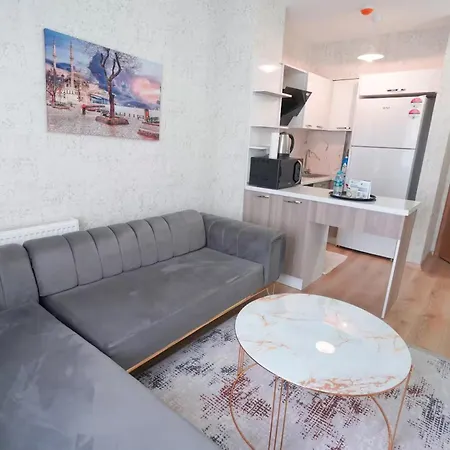 Classic Sh17 Apartment Istanbul