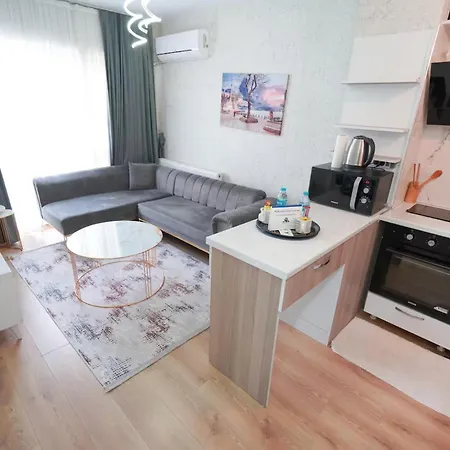 Apartment Classic Sh17 Istanbul