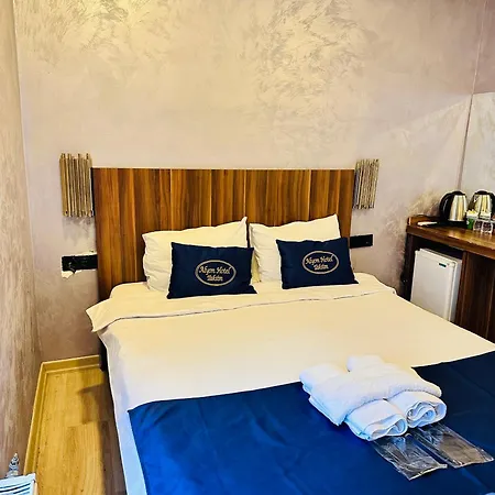 Hotel Center Allyon 3*