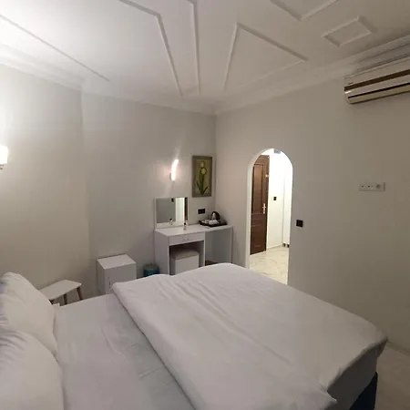 阿拉图卡高雅酒店 酒店 3*