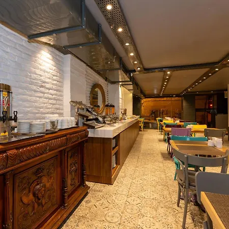 酒店 郁金香城市酒店