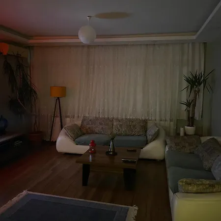 Comfortable And Lovely, In The Heart Of