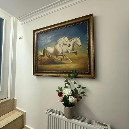 Gv Galata Istanbul