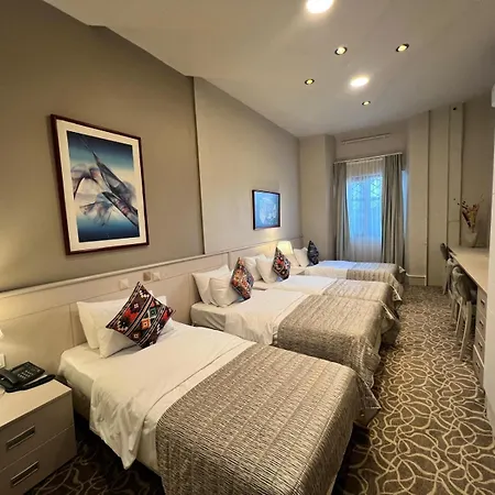 فندق Aria Palace Taksim اسطنبول