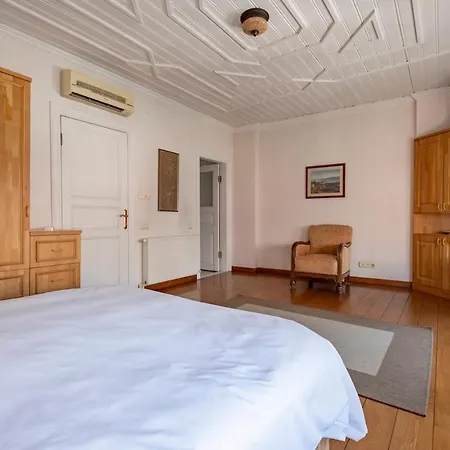 Terrace Triplex In Peninsula Istanbul