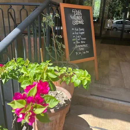 The White Orient מלון 4*