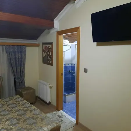 Hotel Grand Hisar 3*