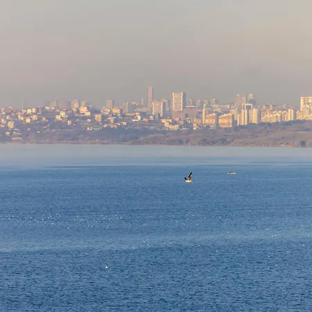 Ezkar Bathonea Art Istanbul