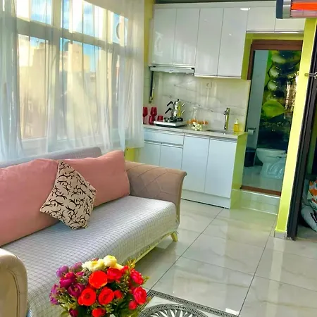 Apartment Istanbulun Kral Dairesi Asansoerlue Ve 2 Klimali