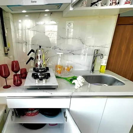 Istanbulun Kral Dairesi Asansoerlue Ve 2 Klimali Apartment Istanbul