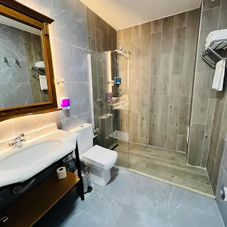Aria Palace Taksim Hotel 3*