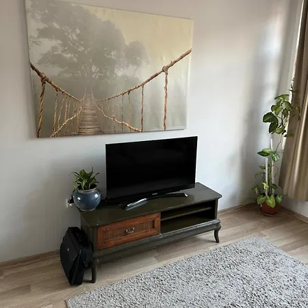 Apartment Bosphorus View And Cozy House! *