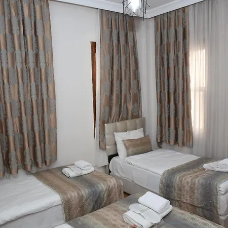 Отель Rosalie Palace 2*