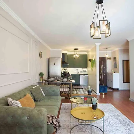 Modern And Close To Center Apartment Istanbul