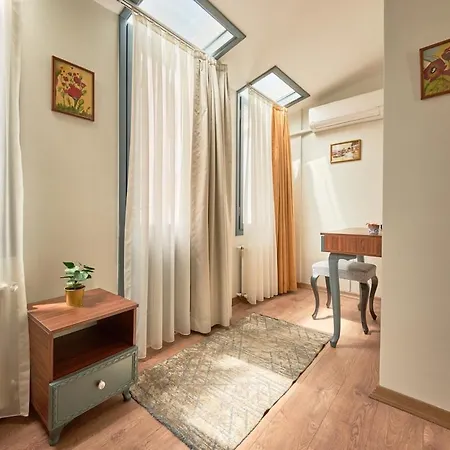 Villa Modern Furnished Historical Building Istanbul