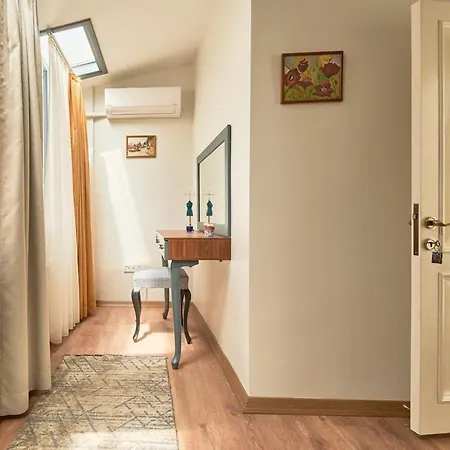 Modern Furnished Historical Building Villa