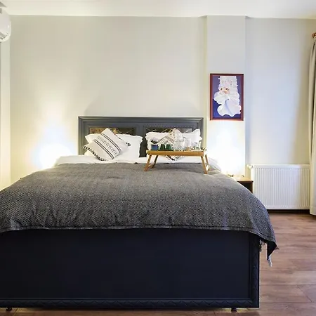 Modern Furnished Historical Building *