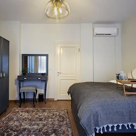 Villa Modern Furnished Historical Building Istanbul