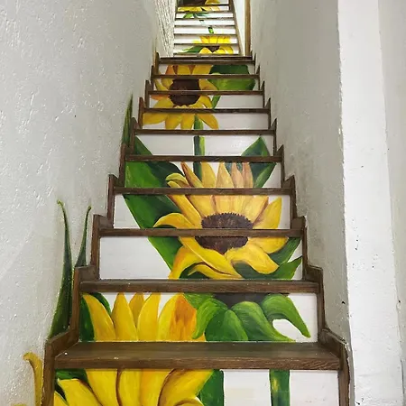 Bed & Breakfast Casa Mirasol Golden Horn *