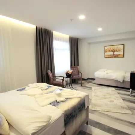 Apartment Guler Palas Hotel Istanbul