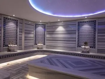 伊斯坦布尔女士spa酒店