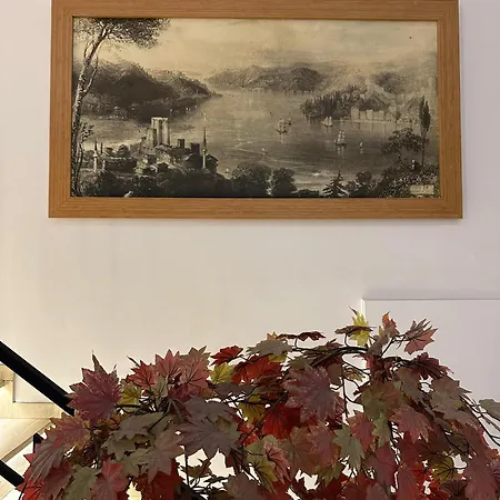 Okur Hotel Istambul