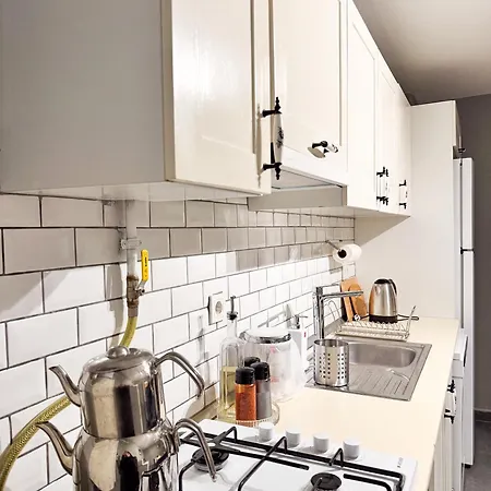 Modern Furnished Historical Building