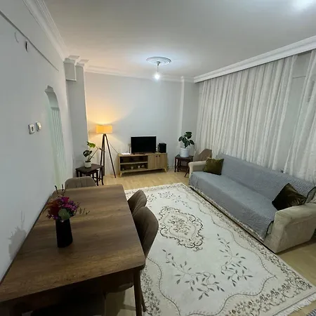 Great Location And Cozy House! Apartment