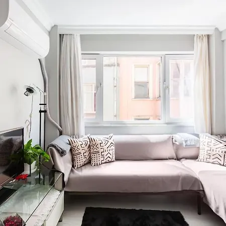 Practical And Cozy Flat Near Taksim Istikal Apartment *