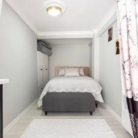 Apartment Practical And Cozy Flat Near Taksim Istikal *