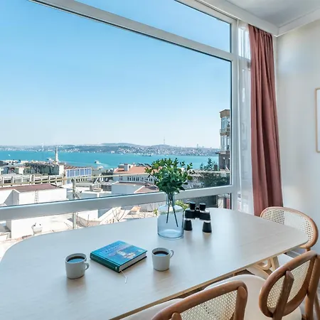 Apartment Beyond The Bosphorus #5 Istanbul