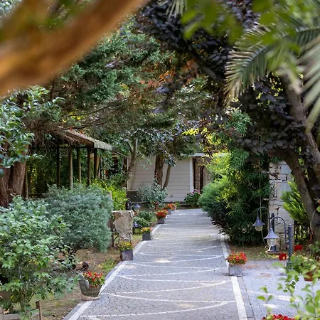 Hotel Elite World Village Polonezkoey 4*