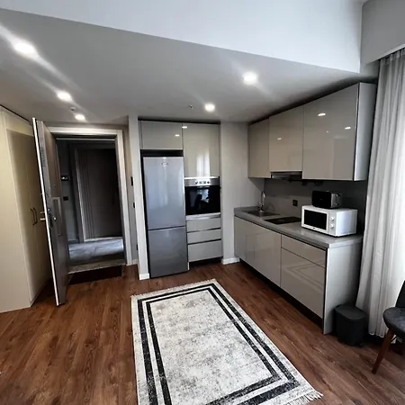 Apartment Toya Next *