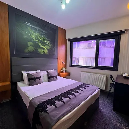 Hotel Black Art