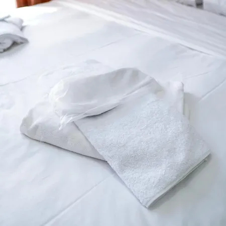 Hotel Laos *