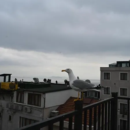Apartament Albatros