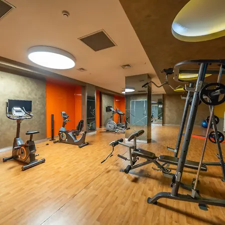 Apartment One Bedroom Flat With Gym Petek 103