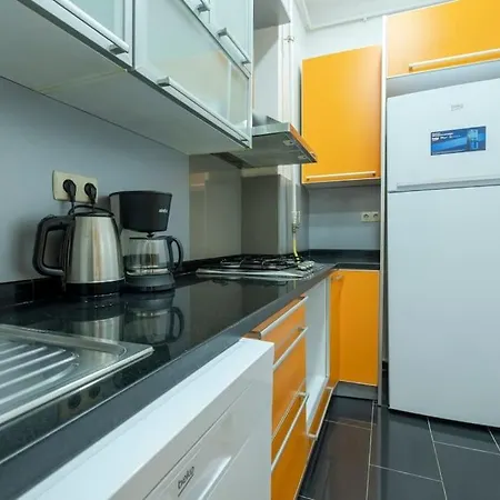 High-ceiling 3-bedroom With View Apartment Istanbul