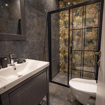 Flash Hotel 3*