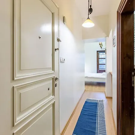 1br Flat 5 Min Walk To Istiklal In Beyoglu Apartament