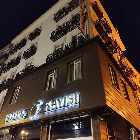 Kayisi Istanbul