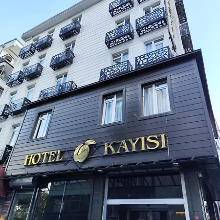 Kayisi Hotel 3*