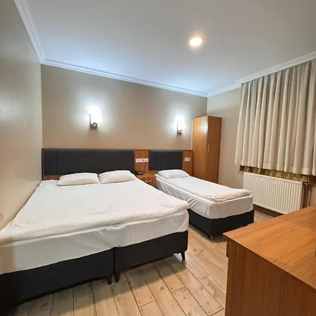 Hotel Merley 3*