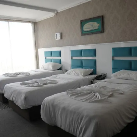Comfort Downtown فندق 4*