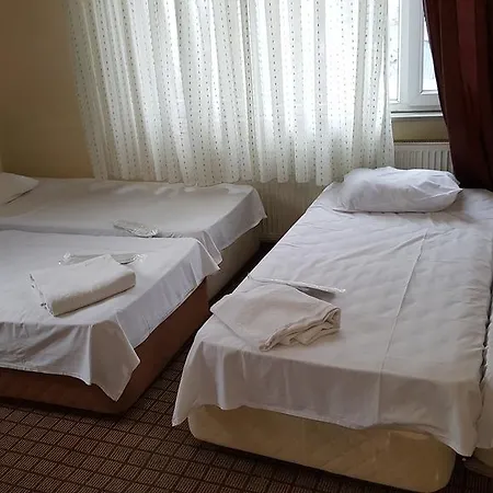 Erciyes Hotel 2*