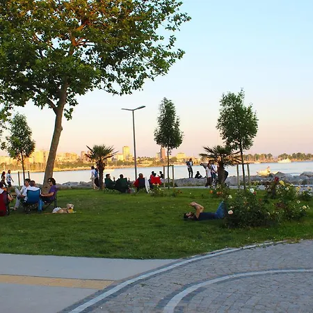 Daire D&d İstanbul