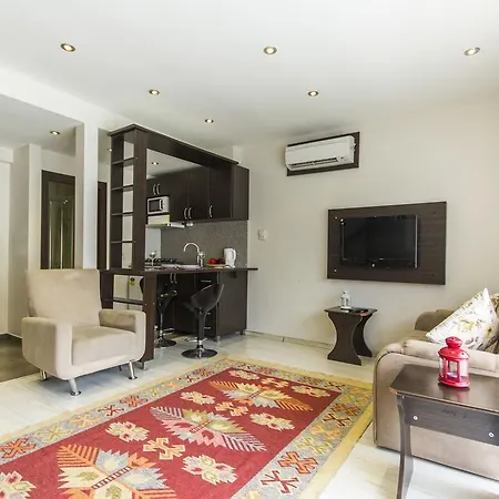 Apart Otel Aytur Suites Harbiye 2*