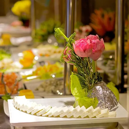 Momento - Special Category Istanbul