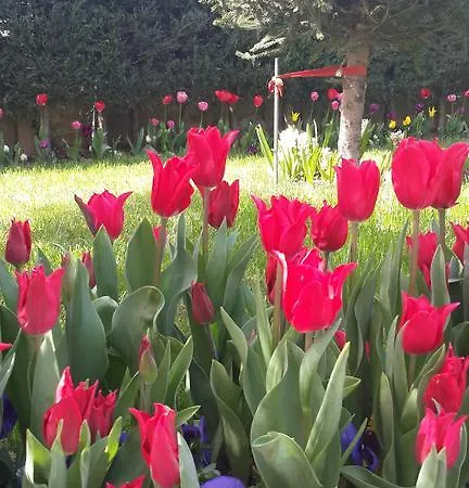 Pendik Marine Hotel Istanbul
