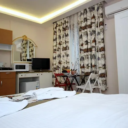 Mini House Economy hotel 2*